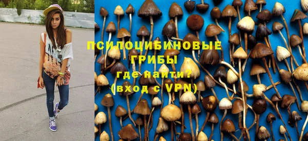 эйфоретик Беломорск