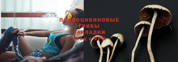 мескалин Белокуриха