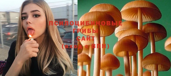 мескалин Белокуриха
